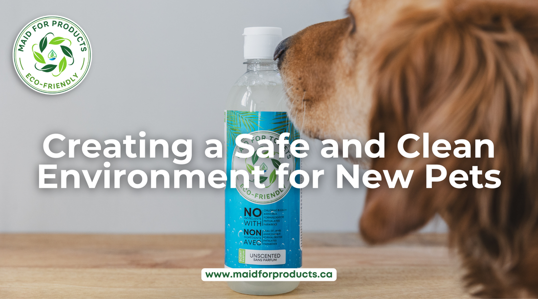 Creating a Safe and Clean Environment for New Pets